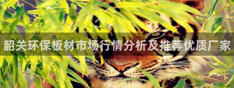 杏宇官网娱乐：韶关环保板材市场行情分析及推荐优质厂家