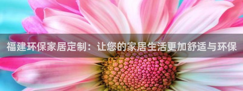 杏宇客户端登录：福建环保家居定制：让您的家居生活更加舒适与环