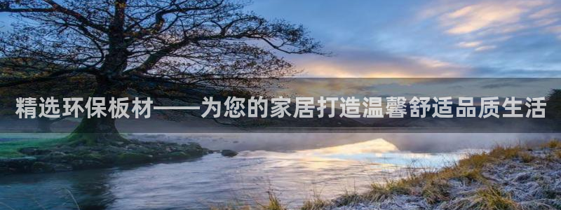 杏宇平台怎样