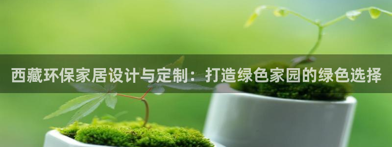 杏宇平台登录入口：西藏环保家居设计与定制：打造绿色家园的绿色