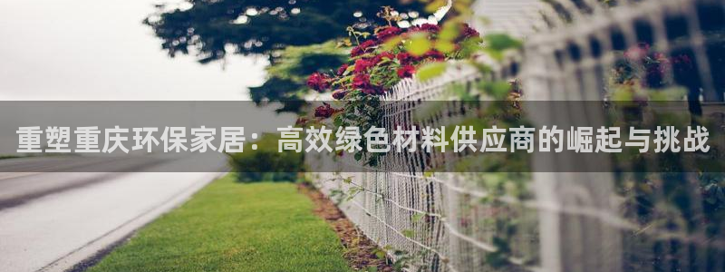 杏宇平台开户：重塑重庆环保家居：高效绿色材料供应商的崛起与挑