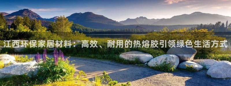杏宇官方：江西环保家居材料：高效、耐用的热熔胶引领绿色生活方