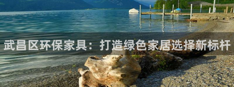 杏宇平台注册问一问：武昌区环保家具：打造绿色家居选择新标杆