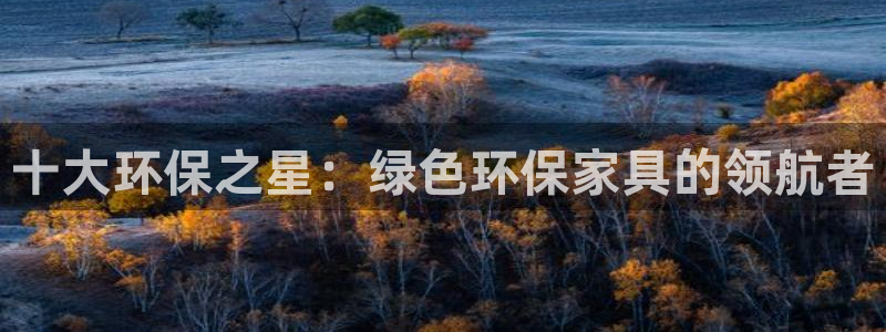 杏宇平台登录首页：十大环保之星：绿色环保家具的领航者
