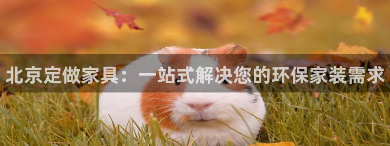 杏宇平台官方登陆：北京定做家具：一站式解决您的环保家装需求