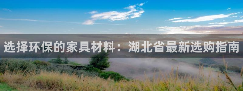 杏宇平台登陆官网