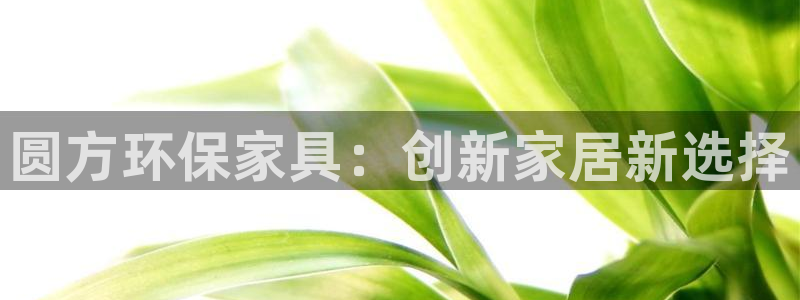 杏宇平台网站是什么：圆方环保家具：创新家居新选择