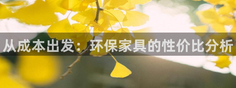 杏宇主管qq
