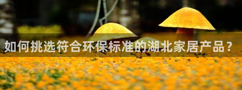 杏宇平台怎么样?：如何挑选符合环保标准的湖北家居产品？