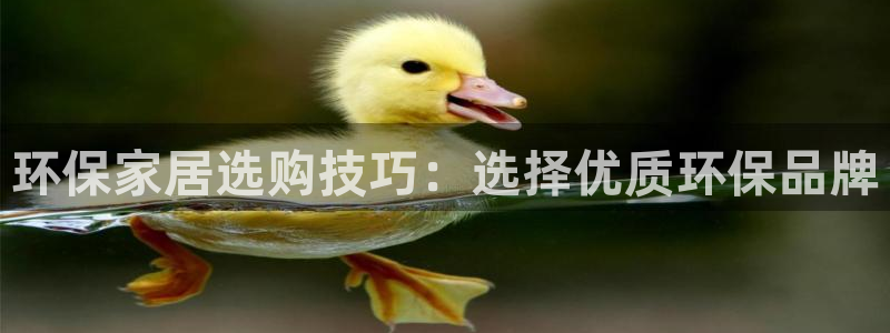 杏宇平台招商的流程：环保家居选购技巧：选择优质环保品牌