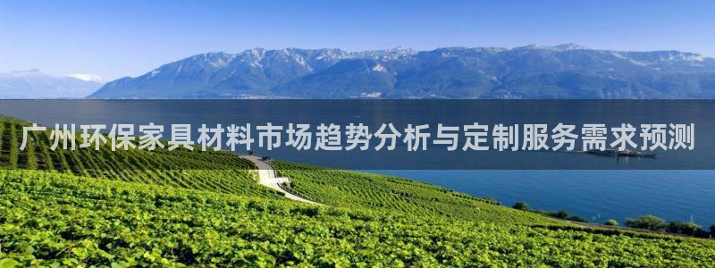 杏宇登陆网站：广州环保家具材料市场趋势分析与定制服务需求预测